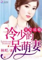 寵愛成癮:冷少的呆萌妻